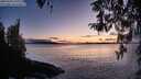 ./images/koeye/fitz-hugh/20260320/fitz-hugh20260320_200001M.jpg