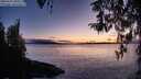 ./images/koeye/fitz-hugh/20260320/fitz-hugh20260320_200501M.jpg