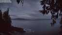 ./images/koeye/fitz-hugh/20260321/fitz-hugh20260321_065501M.jpg