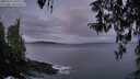 ./images/koeye/fitz-hugh/20260321/fitz-hugh20260321_071001M.jpg
