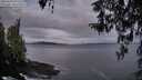 ./images/koeye/fitz-hugh/20260321/fitz-hugh20260321_071501M.jpg