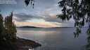 ./images/koeye/fitz-hugh/20260321/fitz-hugh20260321_080002M.jpg
