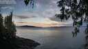 ./images/koeye/fitz-hugh/20260321/fitz-hugh20260321_080501M.jpg