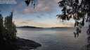 ./images/koeye/fitz-hugh/20260321/fitz-hugh20260321_081501M.jpg