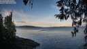 ./images/koeye/fitz-hugh/20260321/fitz-hugh20260321_083001M.jpg