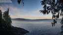 ./images/koeye/fitz-hugh/20260321/fitz-hugh20260321_083501M.jpg