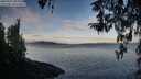 ./images/koeye/fitz-hugh/20260321/fitz-hugh20260321_084001M.jpg