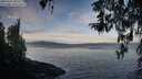 ./images/koeye/fitz-hugh/20260321/fitz-hugh20260321_084501M.jpg