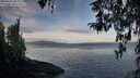 ./images/koeye/fitz-hugh/20260321/fitz-hugh20260321_085001M.jpg