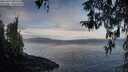 ./images/koeye/fitz-hugh/20260321/fitz-hugh20260321_085502M.jpg