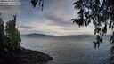 ./images/koeye/fitz-hugh/20260321/fitz-hugh20260321_090002M.jpg