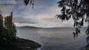 ./images/koeye/fitz-hugh/20260321/fitz-hugh20260321_092001M.jpg