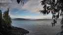 ./images/koeye/fitz-hugh/20260321/fitz-hugh20260321_093501M.jpg