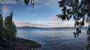 ./images/koeye/fitz-hugh/20260321/fitz-hugh20260321_095001M.jpg