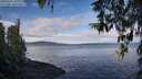 ./images/koeye/fitz-hugh/20260321/fitz-hugh20260321_101001M.jpg