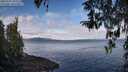 ./images/koeye/fitz-hugh/20260321/fitz-hugh20260321_101501M.jpg