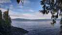 ./images/koeye/fitz-hugh/20260321/fitz-hugh20260321_102001M.jpg