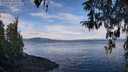 ./images/koeye/fitz-hugh/20260321/fitz-hugh20260321_102501M.jpg