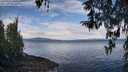 ./images/koeye/fitz-hugh/20260321/fitz-hugh20260321_103002M.jpg
