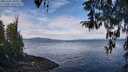 ./images/koeye/fitz-hugh/20260321/fitz-hugh20260321_103501M.jpg