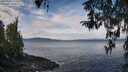 ./images/koeye/fitz-hugh/20260321/fitz-hugh20260321_104001M.jpg