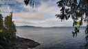 ./images/koeye/fitz-hugh/20260321/fitz-hugh20260321_104502M.jpg