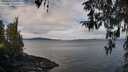 ./images/koeye/fitz-hugh/20260321/fitz-hugh20260321_105002M.jpg