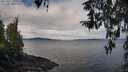 ./images/koeye/fitz-hugh/20260321/fitz-hugh20260321_105501M.jpg