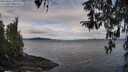 ./images/koeye/fitz-hugh/20260321/fitz-hugh20260321_110001M.jpg
