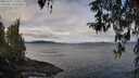 ./images/koeye/fitz-hugh/20260321/fitz-hugh20260321_110501M.jpg