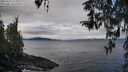 ./images/koeye/fitz-hugh/20260321/fitz-hugh20260321_111002M.jpg
