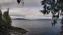 ./images/koeye/fitz-hugh/20260321/fitz-hugh20260321_111501M.jpg
