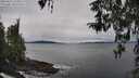 ./images/koeye/fitz-hugh/20260321/fitz-hugh20260321_114001M.jpg