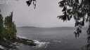 ./images/koeye/fitz-hugh/20260321/fitz-hugh20260321_123502M.jpg