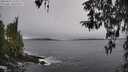 ./images/koeye/fitz-hugh/20260321/fitz-hugh20260321_125502M.jpg
