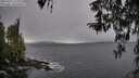 ./images/koeye/fitz-hugh/20260321/fitz-hugh20260321_130002M.jpg