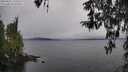 ./images/koeye/fitz-hugh/20260321/fitz-hugh20260321_135502M.jpg