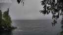 ./images/koeye/fitz-hugh/20260321/fitz-hugh20260321_145001M.jpg