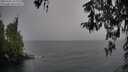 ./images/koeye/fitz-hugh/20260321/fitz-hugh20260321_154502M.jpg