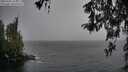 ./images/koeye/fitz-hugh/20260321/fitz-hugh20260321_164501M.jpg