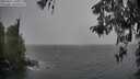 ./images/koeye/fitz-hugh/20260321/fitz-hugh20260321_165501M.jpg
