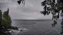 ./images/koeye/fitz-hugh/20260321/fitz-hugh20260321_173502M.jpg