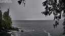 ./images/koeye/fitz-hugh/20260321/fitz-hugh20260321_174002M.jpg