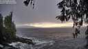 ./images/koeye/fitz-hugh/20260321/fitz-hugh20260321_183501M.jpg