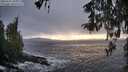 ./images/koeye/fitz-hugh/20260321/fitz-hugh20260321_184002M.jpg