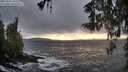./images/koeye/fitz-hugh/20260321/fitz-hugh20260321_184501M.jpg
