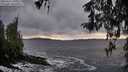 ./images/koeye/fitz-hugh/20260321/fitz-hugh20260321_190501M.jpg