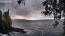 ./images/koeye/fitz-hugh/20260321/fitz-hugh20260321_191501M.jpg
