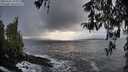 ./images/koeye/fitz-hugh/20260321/fitz-hugh20260321_194001M.jpg