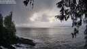 ./images/koeye/fitz-hugh/20260321/fitz-hugh20260321_194501M.jpg